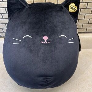 Squishmallows Jack The Black Cat 12" (RARE 1 In 500) comes In Polybag